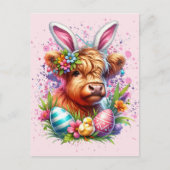 Koe van het Paashoogland Briefkaart (Voorkant)