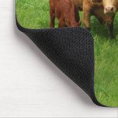 Koe van Kansas in een Muismat voor groenweiden (Hoek)