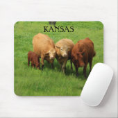 Koe van Kansas in een Muismat voor groenweiden (Met muis)