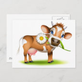 Koe van Little Jersey die madeliefje eet Briefkaart (Voorkant / Achterkant)