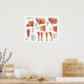 Koe van runderen Poster van de anatomie (Keuken)