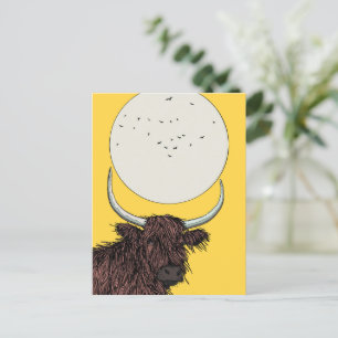 Koe van Scotland Highland Briefkaart