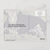 Koe van Vincent Van Gogh. Briefkaart (Achterkant)