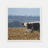 Koe van zwarte en witte kleur, vers geploegd veld servetten (Voorkant)