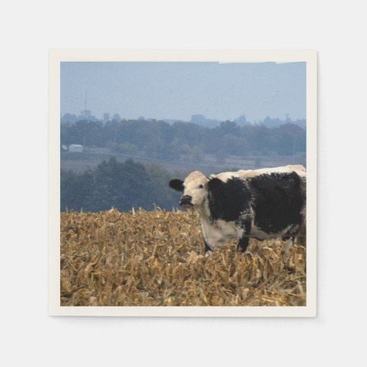 Koe van zwarte en witte kleur, vers geploegd veld servetten (Voorkant)