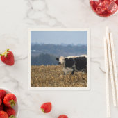 Koe van zwarte en witte kleur, vers geploegd veld servetten (Insitu)