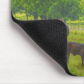 Koe Veeweide Texas Boerderij Art Muismat (Hoek)