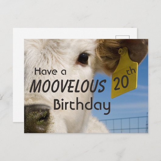 Koe Verjaardags Nummer Briefkaart (Voorkant / Achterkant)