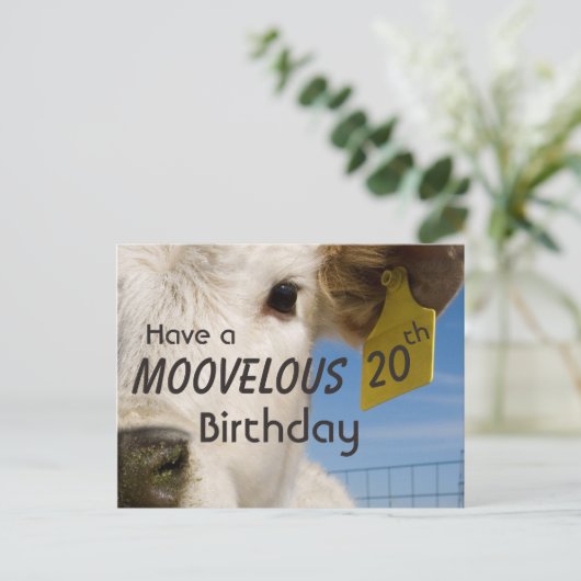 Koe verjaardagsnummer briefkaart (Staand voorkant)