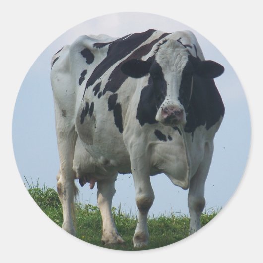 Koe Vermont Dairy Ronde Sticker (Voorkant)