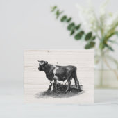 Koe verzadiging Briefkaart (Staand voorkant)