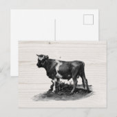 Koe verzadiging Briefkaart (Voorkant / Achterkant)