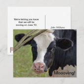 Koe voor het verplaatsen van aankondigingen aankondigingskaart (Voorkant / Achterkant)