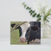 Koe voor het verplaatsen van aankondigingen aankondigingskaart (Staand voorkant)