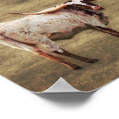 Koe voor landelijke bijtende fotografie poster (Hoek)