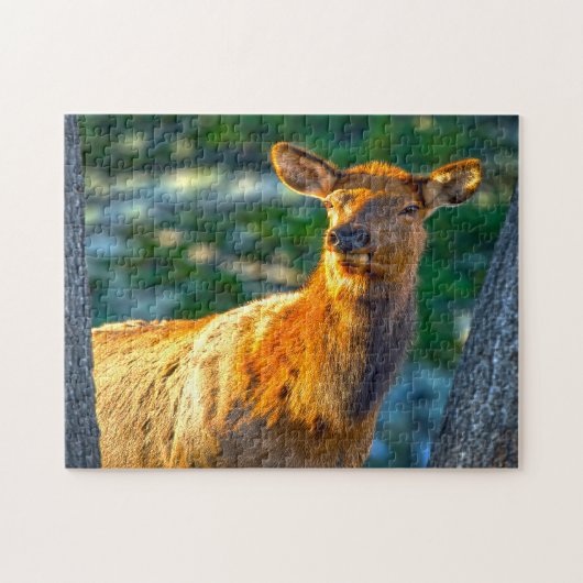Koe-wapiti Montana. Legpuzzel (Horizontaal)