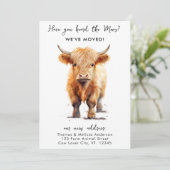 Koe We hebben nieuw adres Highland Calf Moving ver Aankondiging (Staand voorkant)