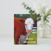 KOE: WE VERPLAATSEN KAART (Staand voorkant)