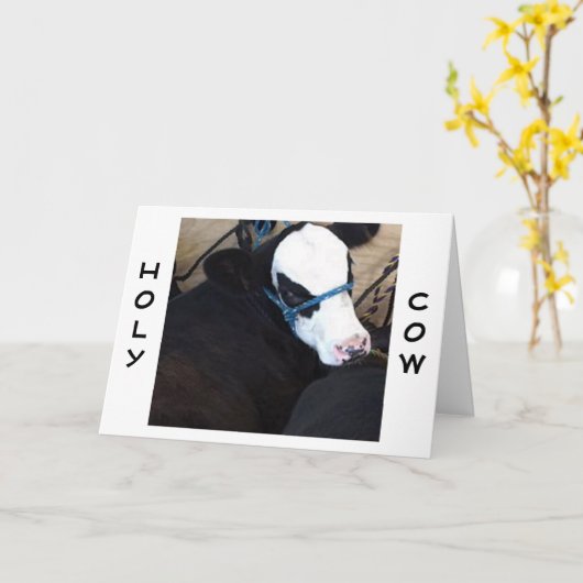 "KOE" ZEGT "HEILIGE KOE" NOG EEN VERJAARDAG KAART (Gele Bloem)