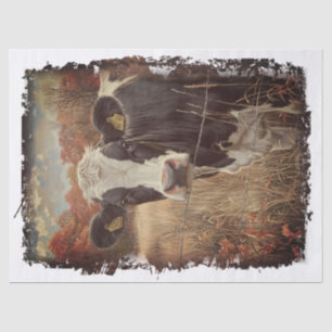 Koe Zuivel Melk Holstein Friesian Tissuepapier