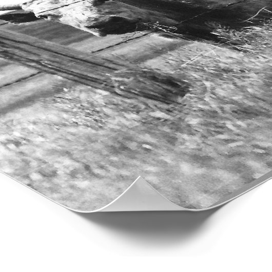 Koe zwart-wit foto poster (Hoek)