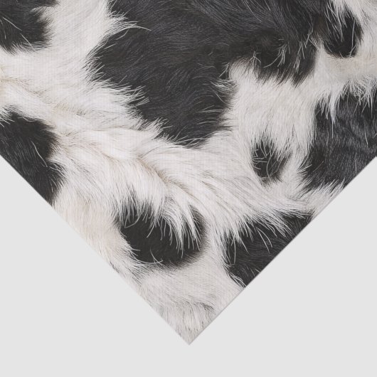 Koe Zwart Wit Vlekken Bont Tissuepapier (Detail)