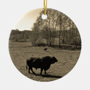 Koe, zwarte stier. Sepia Tone Foto Keramisch Ornament