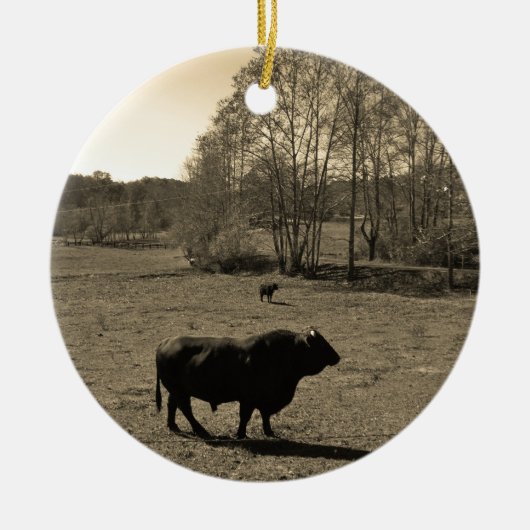 Koe, zwarte stier. Sepia Tone Foto Keramisch Ornament (Voorkant)