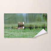 Koe zwemt in een hond bad handdoek (Handdoek)