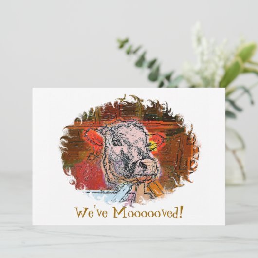 KOEIEN (Staand voorkant)