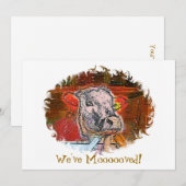 KOEIEN (Voorkant / Achterkant)