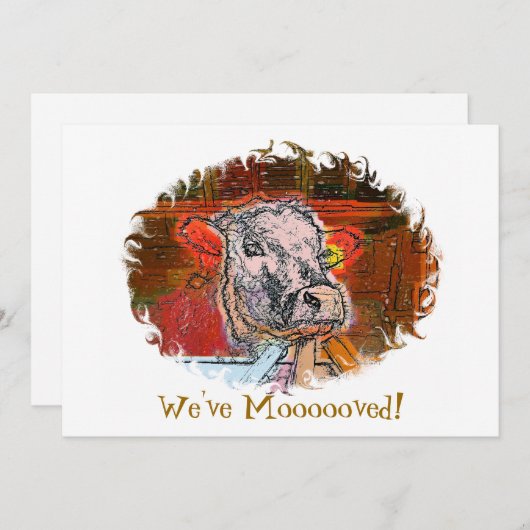 KOEIEN (Voorkant / Achterkant)