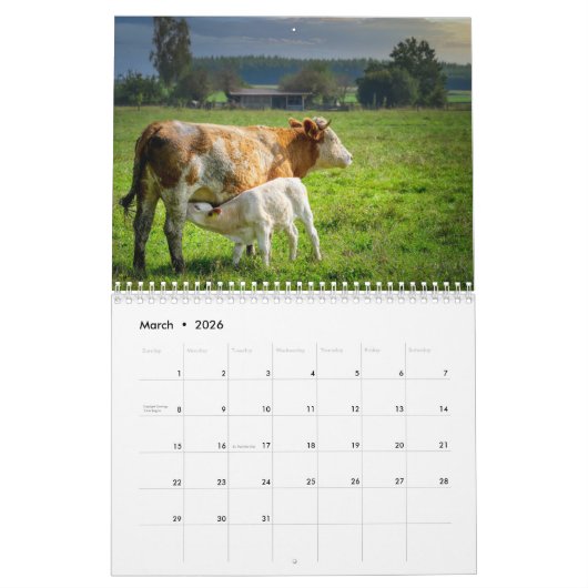Koeien 2025 Kalender (Mar 2026)