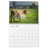 Koeien 2025 Kalender (Mar 2027)