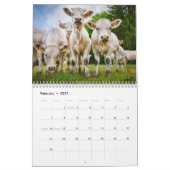Koeien 2025 Kalender (Feb 2027)