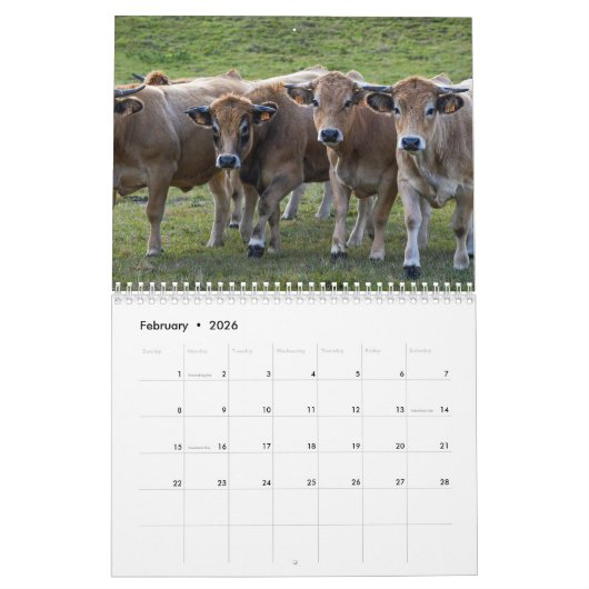Koeien 2025 Kalender (Feb 2026)