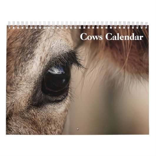 Koeien 2025 Kalender (Hoes)