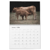Koeien 2025 Kalender (Jan 2026)