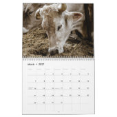 Koeien 2025 Kalender (Mar 2027)