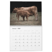 Koeien 2025 Kalender (Jan 2027)