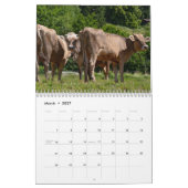 Koeien 2026 Kalender (Mar 2027)