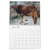 Koeien 2026 Kalender (Jan 2027)