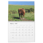 Koeien 2026 Kalender (Feb 2027)