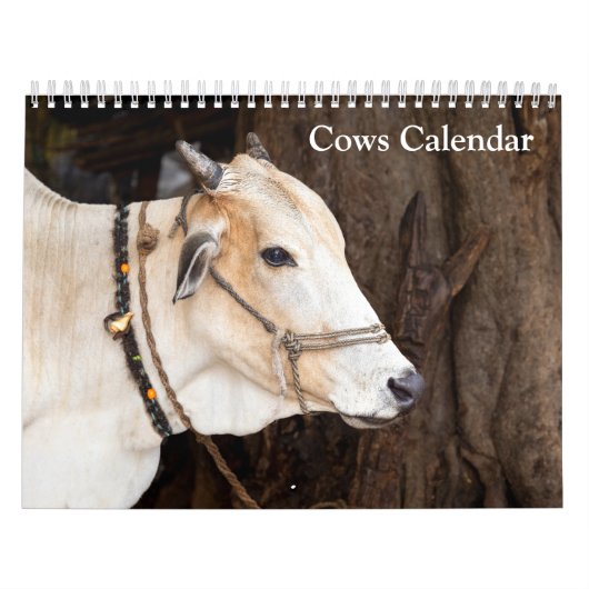 Koeien 2027 Agenda Kalender (Hoes)
