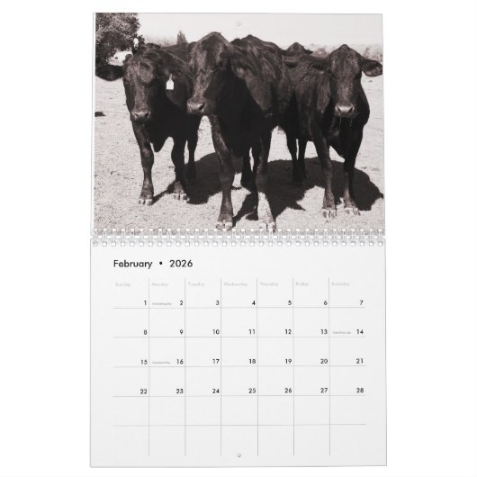 Koeien, A 2016-agenda Kalender (Feb 2026)