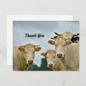 Koeien Bedankkaart Briefkaart (Voorkant / Achterkant)