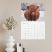 Koeien Boerderij Dierlijk Schotland Elk jaar Kalender