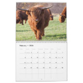 Koeien Boerderij Dierlijk Schotland Elk jaar Kalender (Feb 2026)