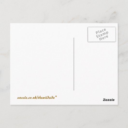 KOEIEN BRIEFKAART (Achterkant)