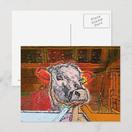 KOEIEN BRIEFKAART (Voorkant / Achterkant)